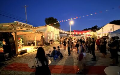 Live Review: Petfest (Puffs, Sean Pratt); Gregory Alan Isakov tonight…