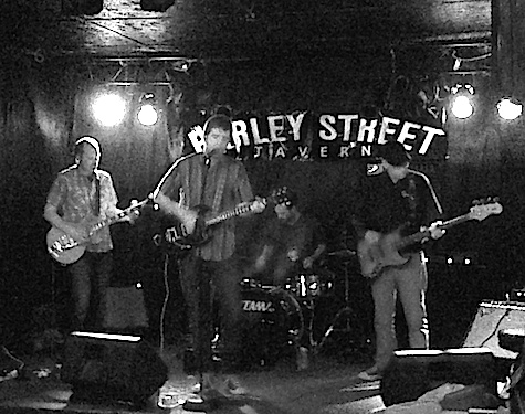 Lupines at The Barley Street Tavern, April 14, 2014.