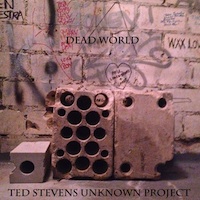 Ted Stevens Unknown Project